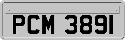 PCM3891