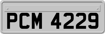 PCM4229