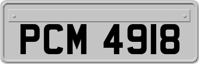 PCM4918