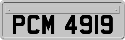 PCM4919