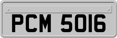 PCM5016