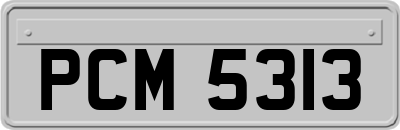 PCM5313