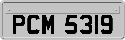 PCM5319
