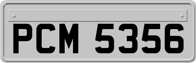 PCM5356