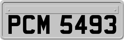 PCM5493