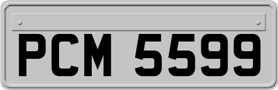 PCM5599