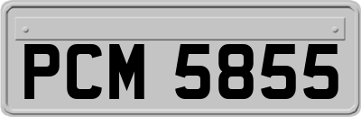 PCM5855