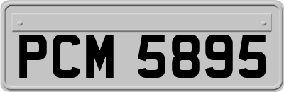 PCM5895