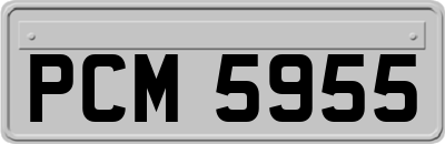 PCM5955