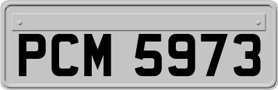 PCM5973