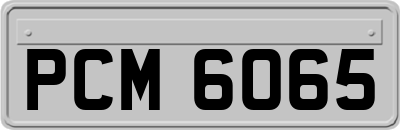 PCM6065