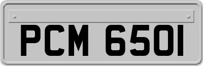 PCM6501