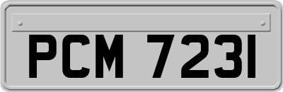 PCM7231