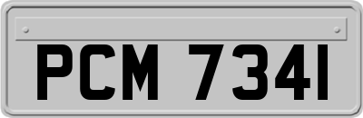 PCM7341