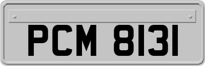 PCM8131