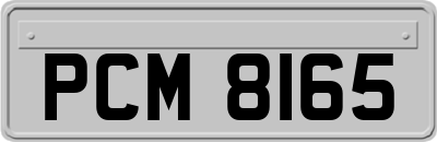 PCM8165