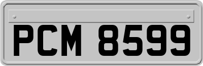 PCM8599