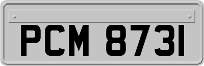 PCM8731