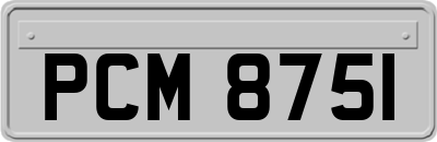 PCM8751