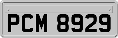 PCM8929