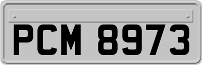 PCM8973