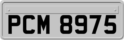 PCM8975