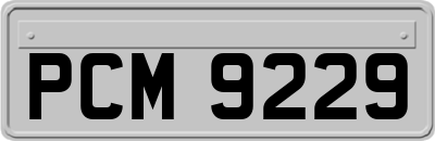 PCM9229