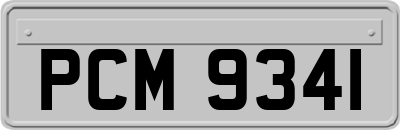 PCM9341