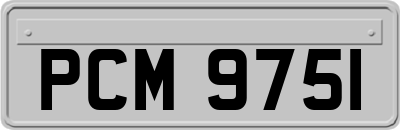 PCM9751