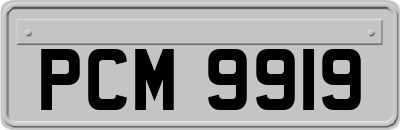 PCM9919