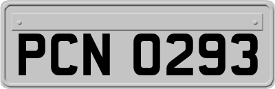 PCN0293