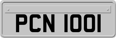 PCN1001