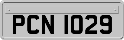 PCN1029