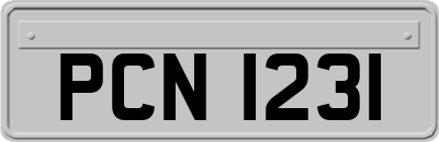 PCN1231