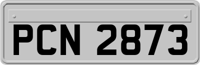 PCN2873