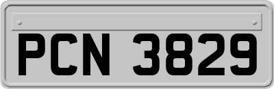 PCN3829