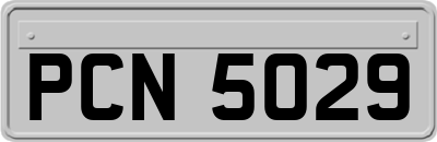 PCN5029