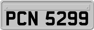 PCN5299
