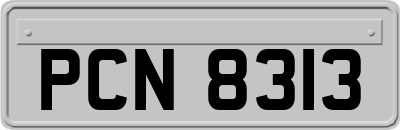 PCN8313
