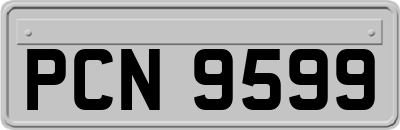 PCN9599