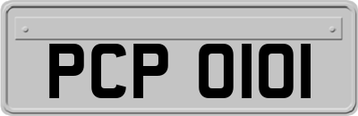 PCP0101
