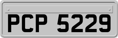 PCP5229