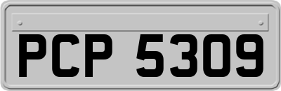 PCP5309