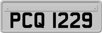 PCQ1229