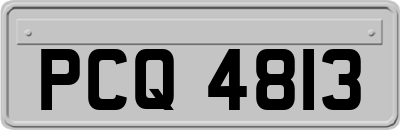 PCQ4813