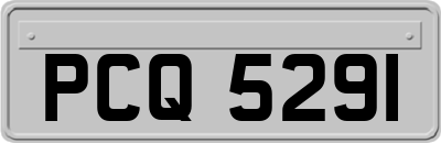 PCQ5291