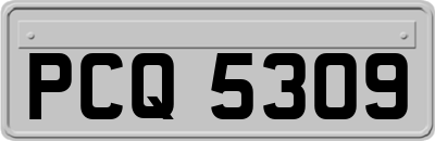 PCQ5309