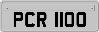 PCR1100