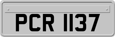 PCR1137