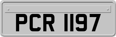 PCR1197